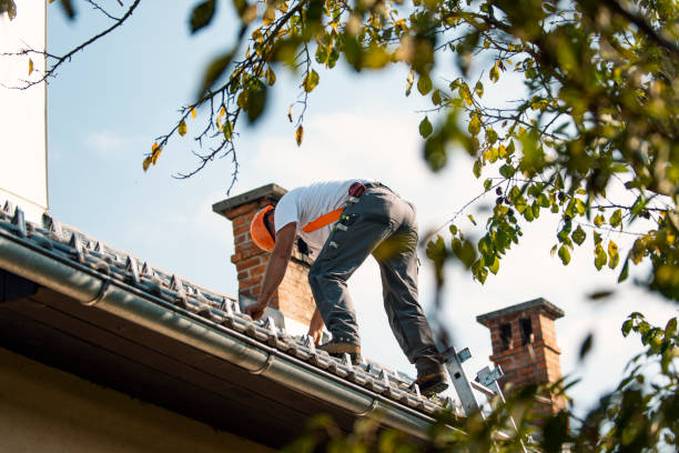 Best Commercial Roofing Services  in Wahese, NC